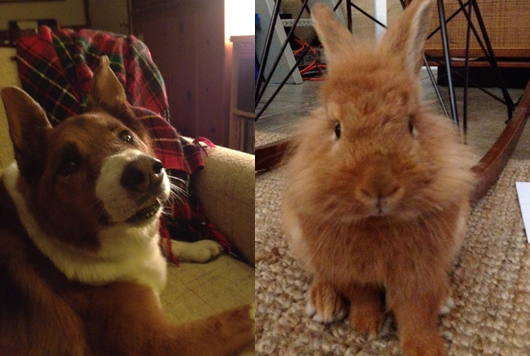 pennyandklaus