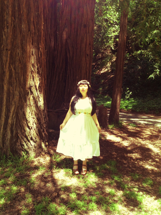 photsso 2